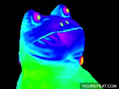 An MLG Frog Loader